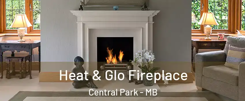  Heat & Glo Fireplace Central Park - MB