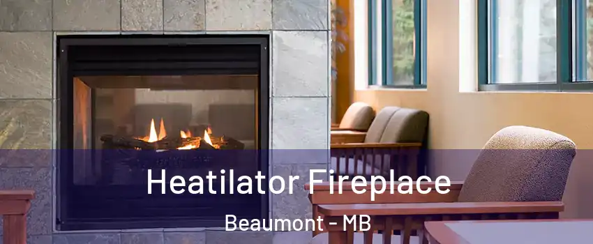  Heatilator Fireplace Beaumont - MB