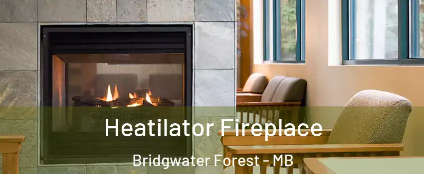  Heatilator Fireplace Bridgwater Forest - MB