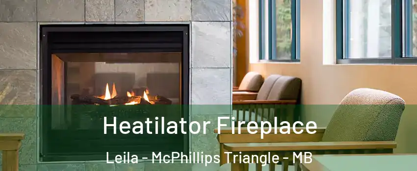  Heatilator Fireplace Leila - McPhillips Triangle - MB