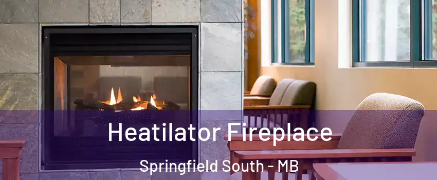  Heatilator Fireplace Springfield South - MB