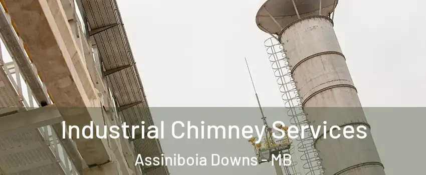  Industrial Chimney Services Assiniboia Downs - MB