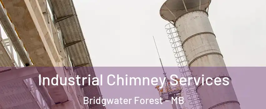  Industrial Chimney Services Bridgwater Forest - MB