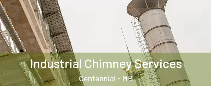  Industrial Chimney Services Centennial - MB