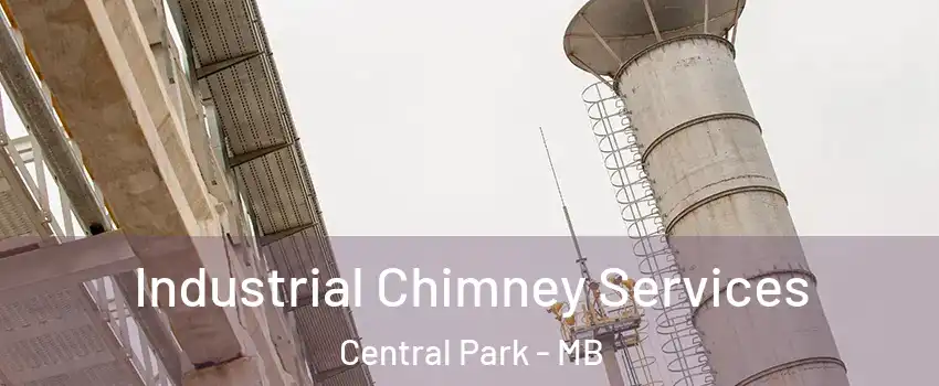  Industrial Chimney Services Central Park - MB