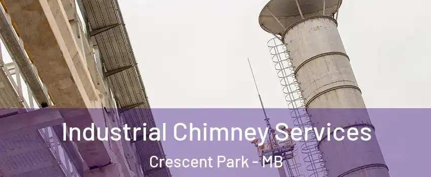  Industrial Chimney Services Crescent Park - MB