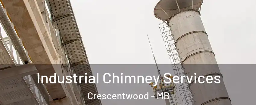  Industrial Chimney Services Crescentwood - MB