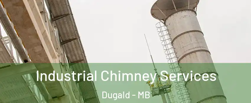  Industrial Chimney Services Dugald - MB