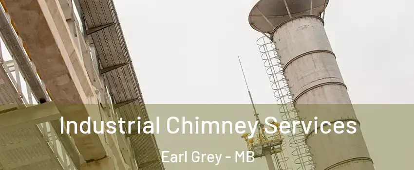  Industrial Chimney Services Earl Grey - MB
