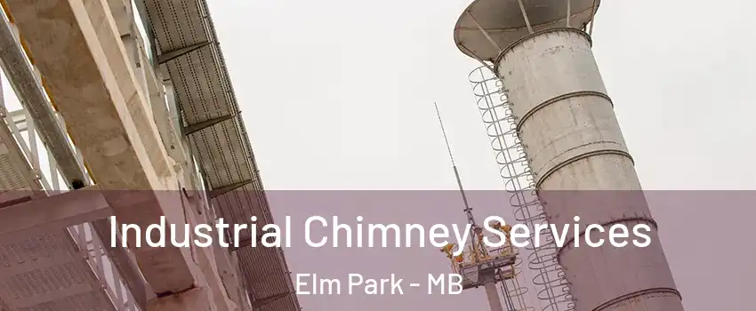  Industrial Chimney Services Elm Park - MB