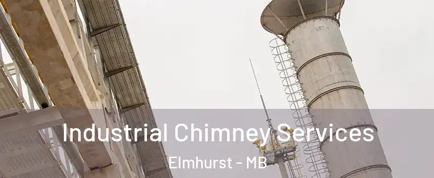  Industrial Chimney Services Elmhurst - MB