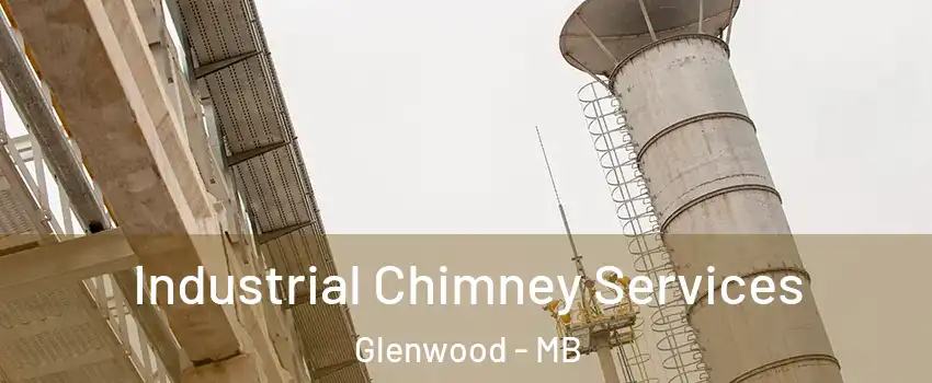  Industrial Chimney Services Glenwood - MB