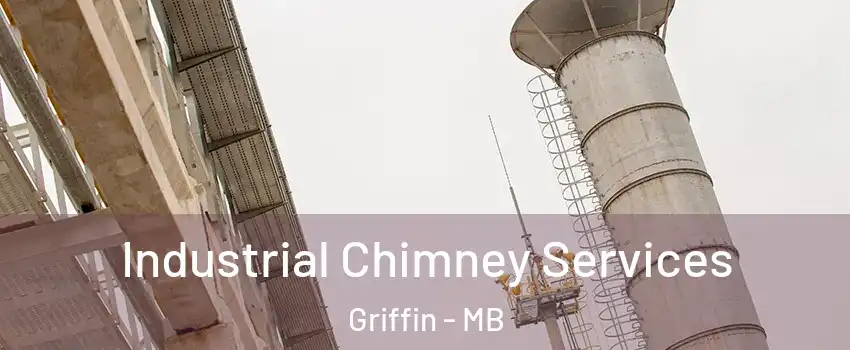  Industrial Chimney Services Griffin - MB