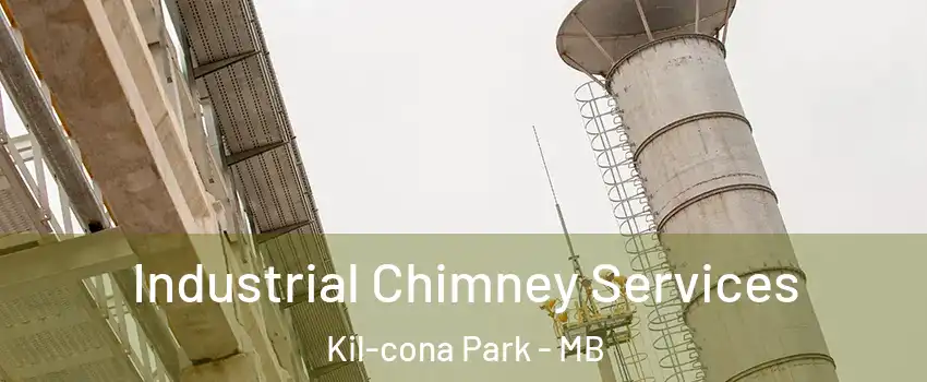  Industrial Chimney Services Kil-cona Park - MB