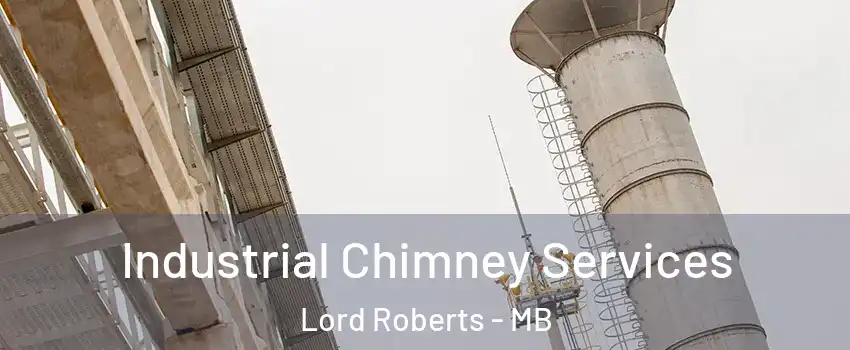  Industrial Chimney Services Lord Roberts - MB
