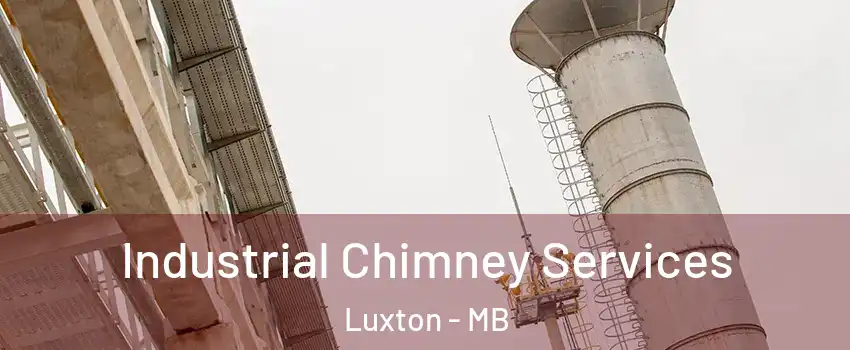  Industrial Chimney Services Luxton - MB