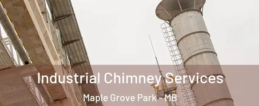  Industrial Chimney Services Maple Grove Park - MB