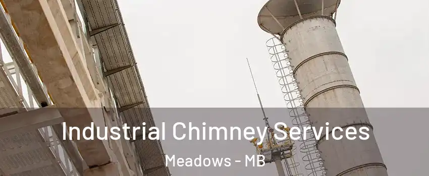  Industrial Chimney Services Meadows - MB