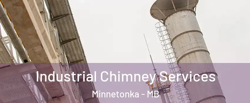  Industrial Chimney Services Minnetonka - MB