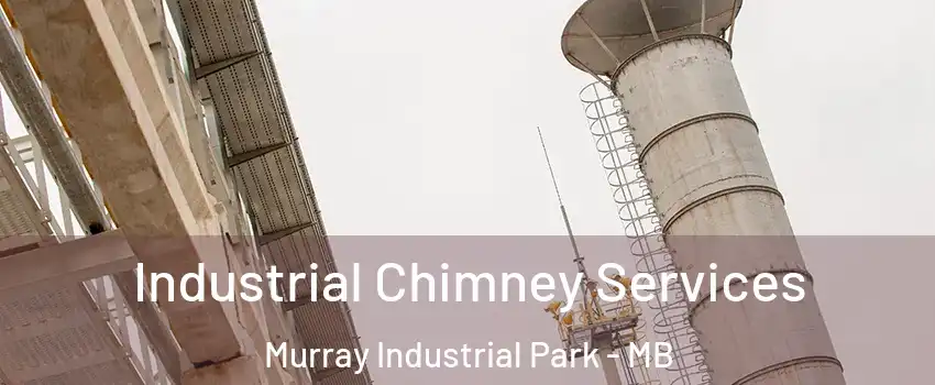  Industrial Chimney Services Murray Industrial Park - MB