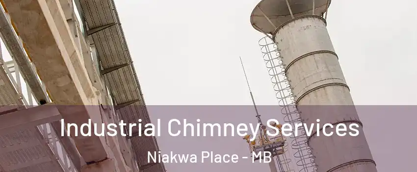  Industrial Chimney Services Niakwa Place - MB