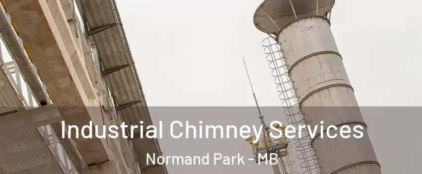  Industrial Chimney Services Normand Park - MB