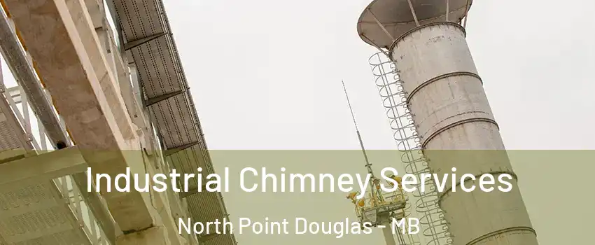  Industrial Chimney Services North Point Douglas - MB