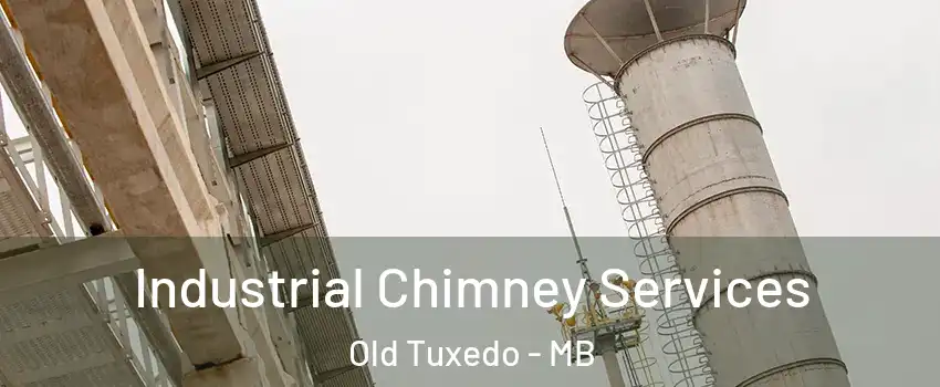  Industrial Chimney Services Old Tuxedo - MB