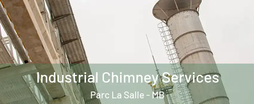  Industrial Chimney Services Parc La Salle - MB