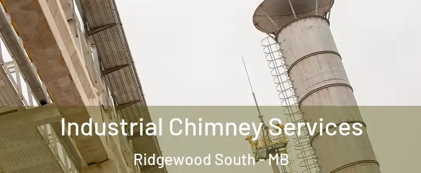  Industrial Chimney Services Ridgewood South - MB