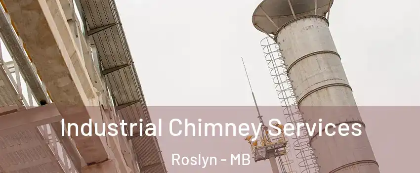  Industrial Chimney Services Roslyn - MB