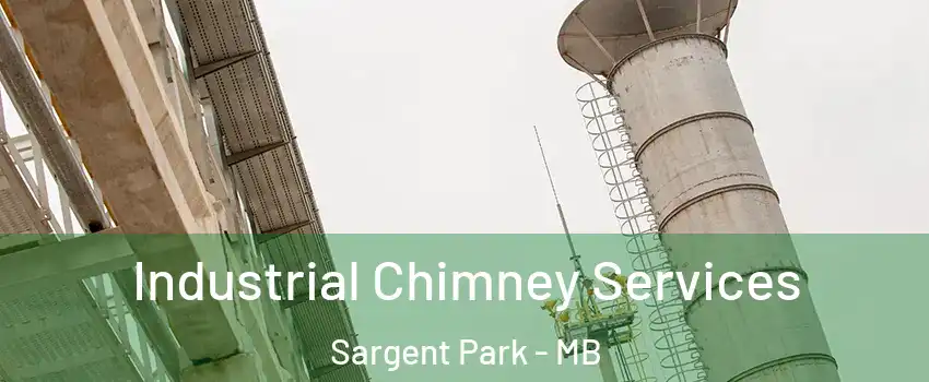  Industrial Chimney Services Sargent Park - MB