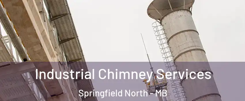  Industrial Chimney Services Springfield North - MB