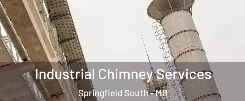 Industrial Chimney Services Springfield South - MB