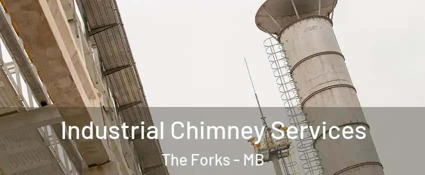  Industrial Chimney Services The Forks - MB