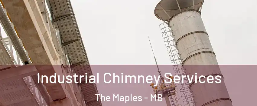  Industrial Chimney Services The Maples - MB