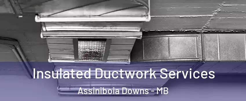  Insulated Ductwork Services Assiniboia Downs - MB