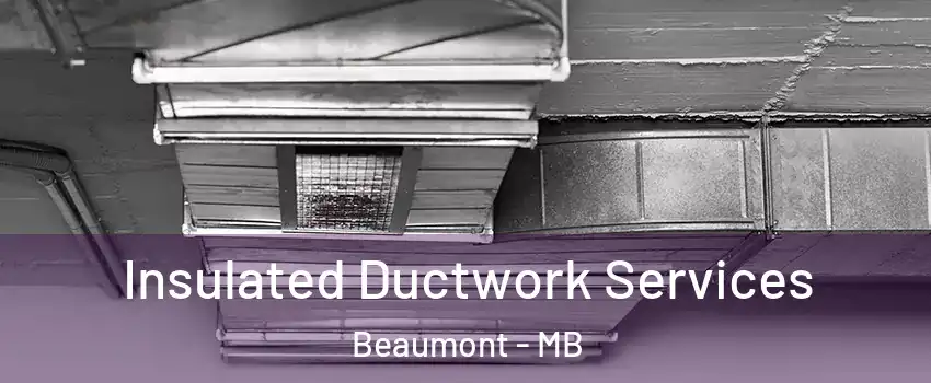  Insulated Ductwork Services Beaumont - MB