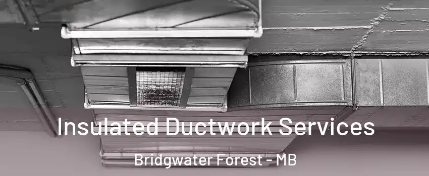  Insulated Ductwork Services Bridgwater Forest - MB