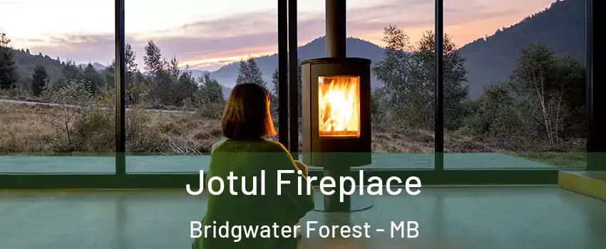  Jotul Fireplace Bridgwater Forest - MB