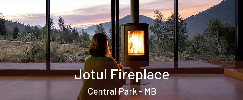  Jotul Fireplace Central Park - MB