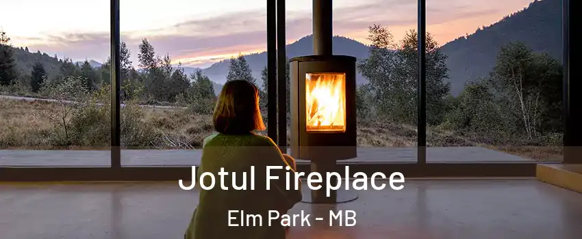  Jotul Fireplace Elm Park - MB