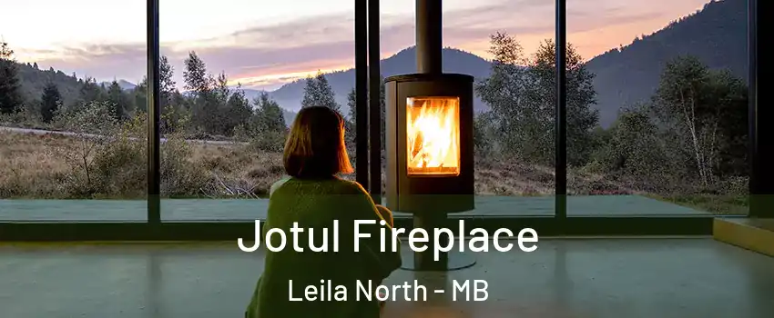  Jotul Fireplace Leila North - MB