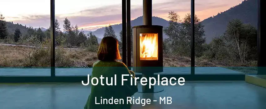  Jotul Fireplace Linden Ridge - MB