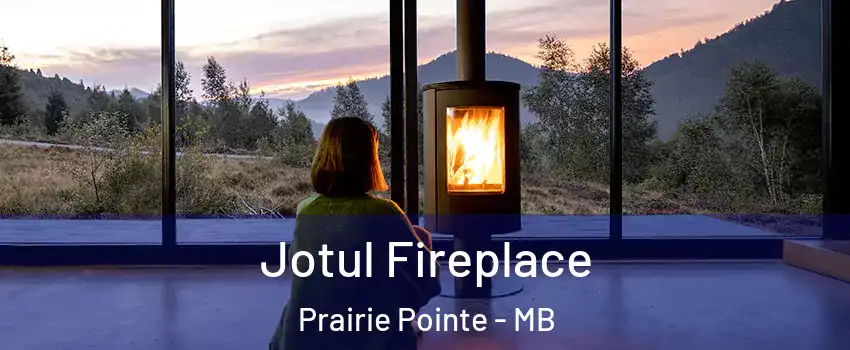  Jotul Fireplace Prairie Pointe - MB