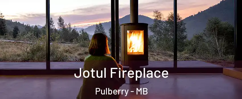  Jotul Fireplace Pulberry - MB