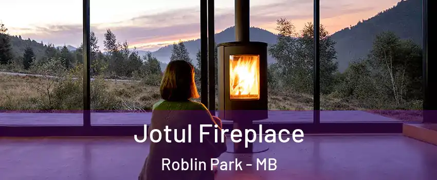  Jotul Fireplace Roblin Park - MB