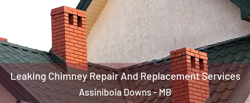  Leaking Chimney Repair And Replacement Services Assiniboia Downs - MB