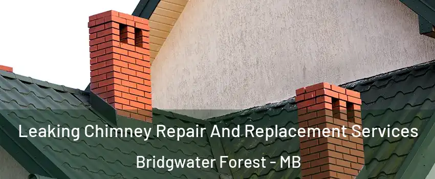  Leaking Chimney Repair And Replacement Services Bridgwater Forest - MB