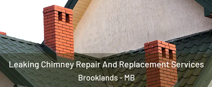  Leaking Chimney Repair And Replacement Services Brooklands - MB